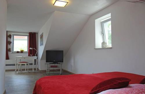 Die kleine Stadtoase - Foto 11