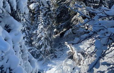 Chalet Olympie, Appartement avec balcon et vue montagne, ski aux pieds, Méribel-Mottaret - Foto 23