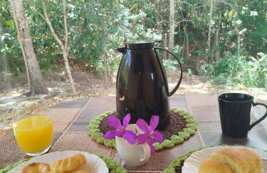 Chalé do Ypê 1 - Foto 20