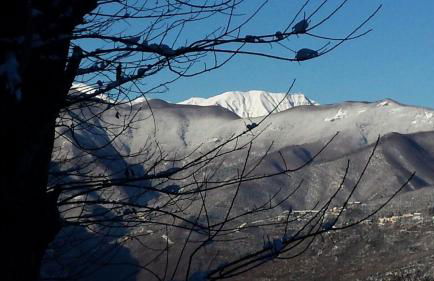 La casa nel bosco-senza auto - Foto 31