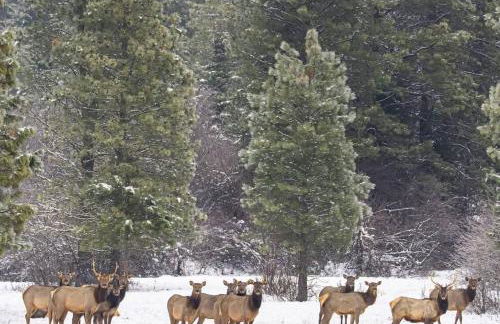 Serenity on 13 Suncadia-luxury 4bd ensuite spa retreat with Sauna, Steam Shower, Jacuzzi, Hot tub, Fire Pit & on-site EV chg - Foto 38