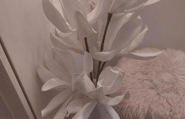 Vivito apartment - Foto 21