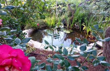 Casa Montse - Foto 30