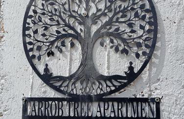 Carob Tree apartment, Tris Ekklisies - Foto 22