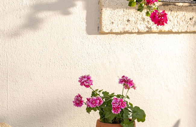 Cumbalıca Hotel - Foto 74