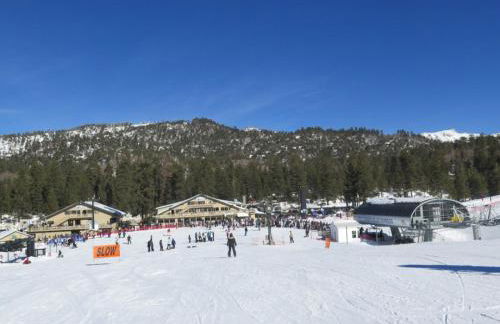 Gingerbread Gardens - Foto 40