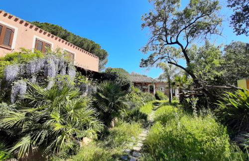 La Fattoria Delle Tartarughe - Foto 9