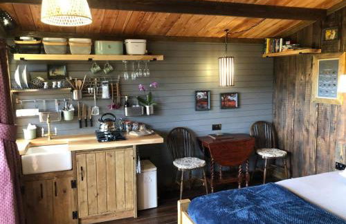 1 Bed Cabin in the Magical Galloway Forest Park - Foto 27