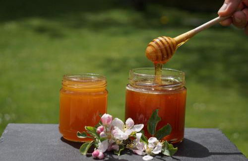 Waalhof Ferienwohnung Apfelblüte - Foto 8