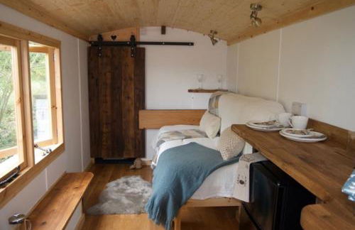 Little Dolwen - Sioned - Photo 30