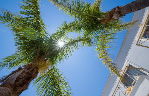Olympos Paradice Hotel-Near zorbas Beach-FREE Breakfast - Foto 25