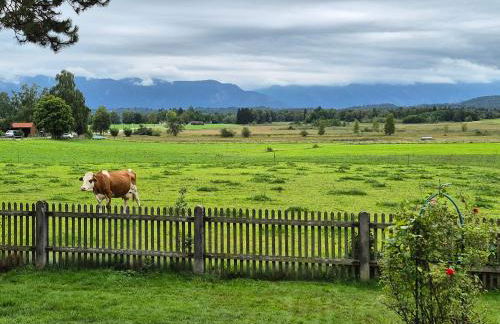 The Staffelsee Lodge - Foto 19