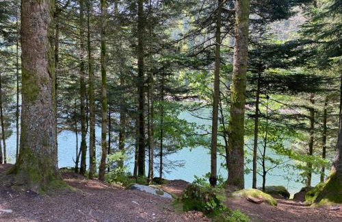 LE VERTBRUCHE - Gîte avec superbe vue pour 15 pers - Foto 45