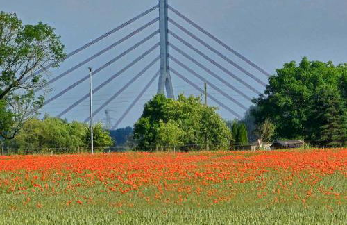 Hasenbau Wesel-Flüren - Foto 25