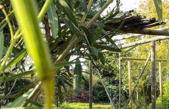 La Maison Romanaise - Foto 33