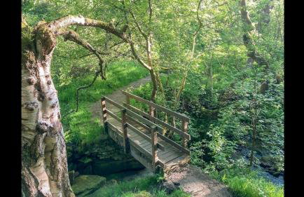 The Shearer's Hut in the Peak Park - Photo 13