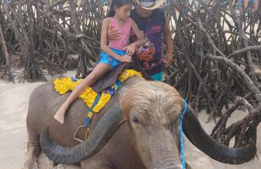 Hoste sol nascente - Photo 8