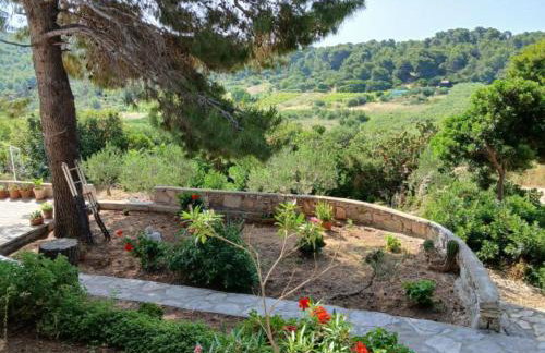 Apartmani Green Oasis - Foto 7