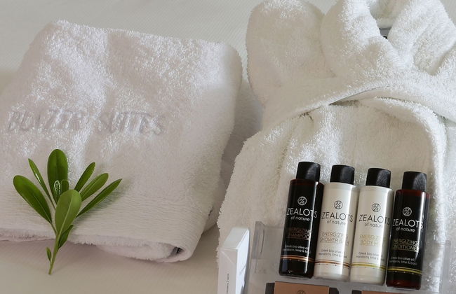 Blazer Suites Hotel - Photo 16