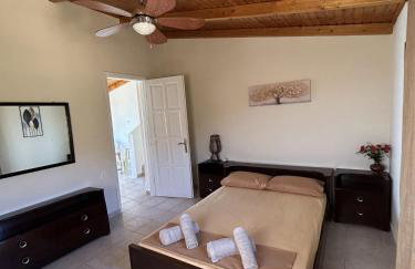 Ziras Traditional Villa - Photo 4