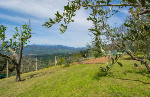 Holiday Home delle Stelle by Interhome - Foto 24