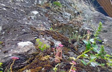 Il nido (Cica) - Foto 20