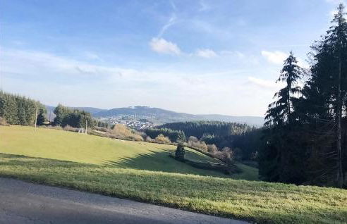 Awesome Home In Müllenbach With Kitchen - Foto 38