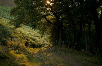 Two unique cabins wrapped in beautiful welsh scenery - Foto 77