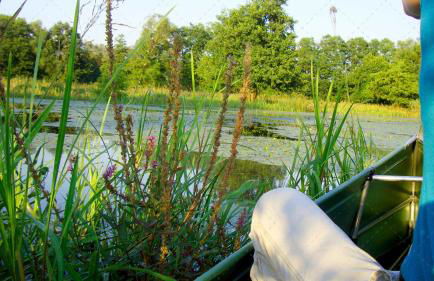 JANISCHs Fewo im Spreewald, Terrasse, großer Garten und Blick inklusive - Foto 30