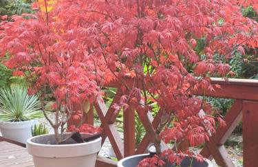 Domek w Karkonoszach - Foto 47