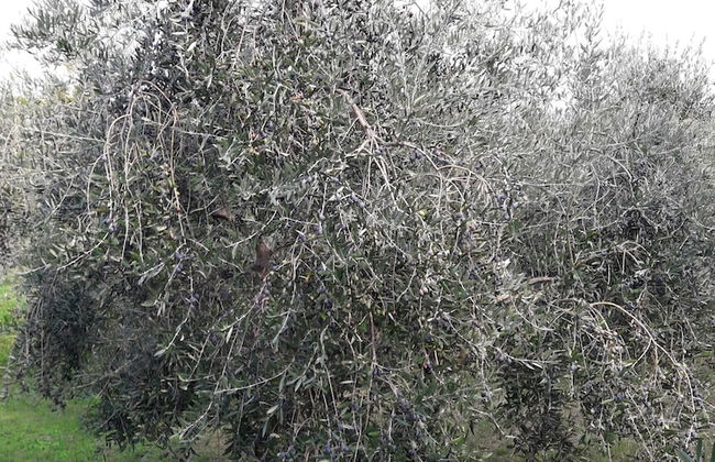 Family Apartment Kocevar - Foto 50