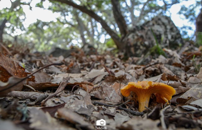 TOTTAM EXPERIENCE - Foto 48