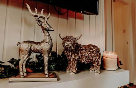 Luxurious mountain retreat lodge Hunters Quay - Foto 28