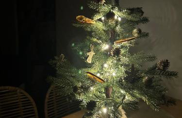 Przystanek SUCHE - Foto 6