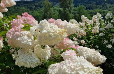 Garden Apartament Kurnik - Foto 6