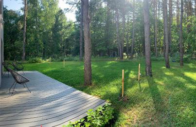 Masz Ci Las - Photo 20