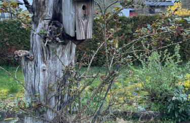 Odenwaldpanorama - Foto 25