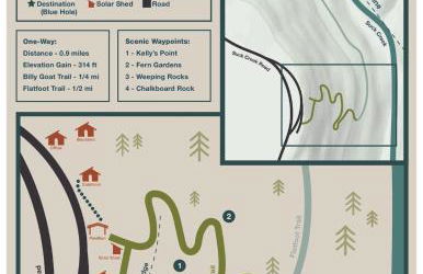 Blackbird Cabin - Foto 32