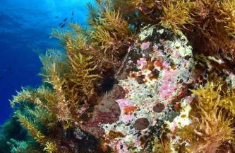 Casa Mariella - Foto 28