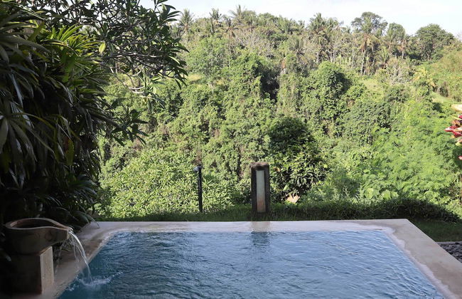 Bali Masari Villas & Spa - Foto 52