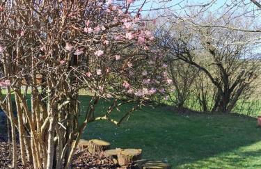 Ferienwohnung Auenland - Photo 12