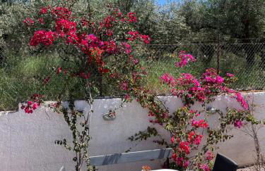 Villa Armonia - Photo 44