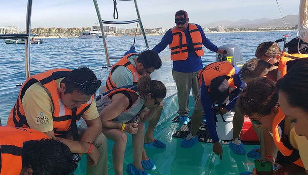 Balade en bateau transparent à Los Cabos - Photo 5