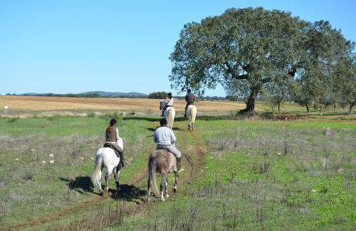 Monte da Boavista - Country family house - Foto 19