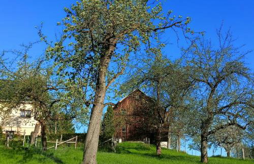 Wolfsgrund 14 - Foto 18