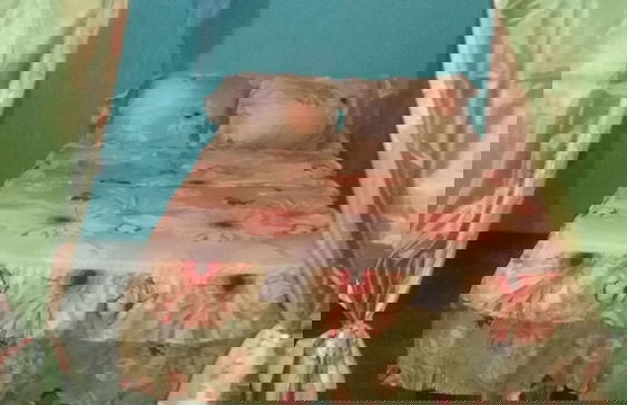 Berkey's Jungle Paradise - Photo 6