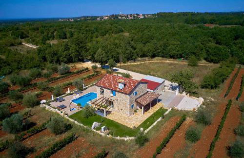 Relax house surrounded by olives and vineyard - Photo 68