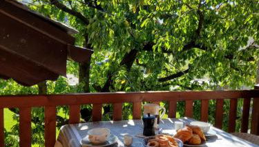 La Vigne de Papagran - Foto 1