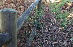 A Xanela Indiscreta - Foto 33