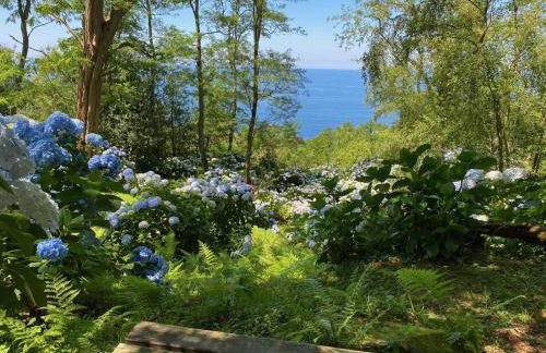 Apartamentos Mar y Mar Agroturismo - Foto 14